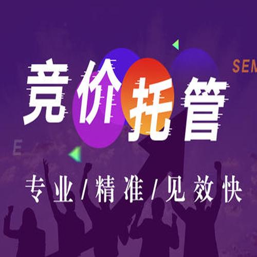 衡水百度竞价推广哪家专业